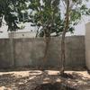 Construir Alberca De Concreto