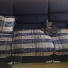 Tapizado De Muebles