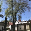 Otros Trabajos Jardinería