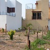 Construir Alberca De Concreto