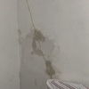 Otros Trabajos Plomeros