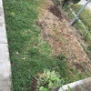 Plantar Jardín