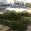 Mantener Jardín