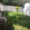 Mantener Jardín