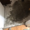 Colocar Loseta o Azulejo