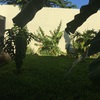 Mantener Jardín