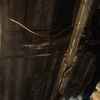 Remodelar Casa