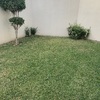 Construir Alberca De Concreto
