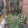 Otros Trabajos Jardinería