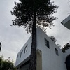 Otros Trabajos Jardinería