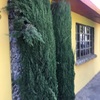 Otros Trabajos Jardinería