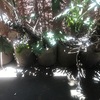 Retiro de Escombros