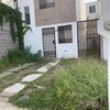 Plantar Jardín