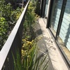 Otros Trabajos Jardinería