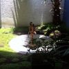 Remodelacion de Jardín
