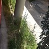Pequeños Trabajos Jardinería