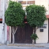 Pequeños Trabajos Jardinería