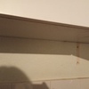 Colocar Loseta o Azulejo