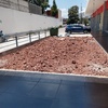 Plantar Jardín