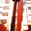 Otros Trabajos Jardinería
