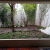 Mantener Jardín