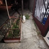 Trabajo de albañilería, monterrey