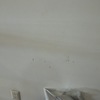 Pintar Departamento