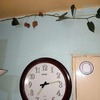 Remodelación Parcial Casa