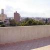 Impermeabilizar remodelar diseñar resanar y pintar, un roof garden de 40m2 y una terraza de 30m2