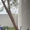 Otros Trabajos Jardinería
