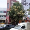 Otros Trabajos Jardinería