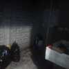Realizar Control De Plagas