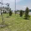 Mantener Jardín