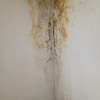 Construir Pared