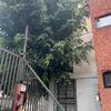 Otros Trabajos Jardinería