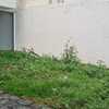Plantar Jardín