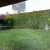 Plantar Jardín