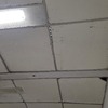 Colocar Plafón / Cielo Falso