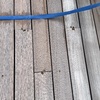 Instalar Deck