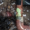 Reparar Instalación Plomería