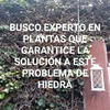 Otros Trabajos Jardinería