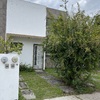 Otros Trabajos Jardinería