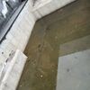 Construir Alberca De Concreto