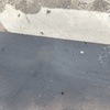 Desatascar Tuberías