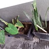 Otros Trabajos Jardinería
