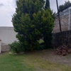 Otros Trabajos Jardinería