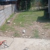 Construir Casa