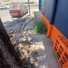 Otros Trabajos Jardinería