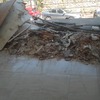 Limpieza de Obra