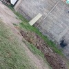 Construir Barda